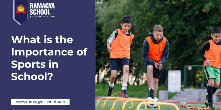 What is the Importance of Sports in School?