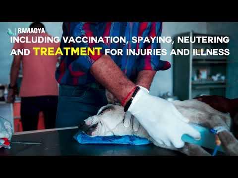 Education Video